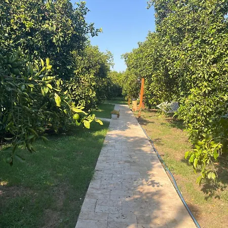 Julya Tiny House * Çıralı