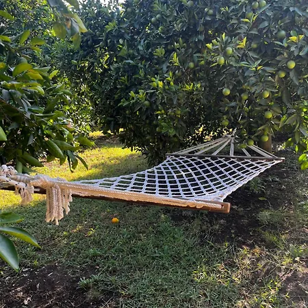 Julya Tiny House Διαμέρισμα Çıralı