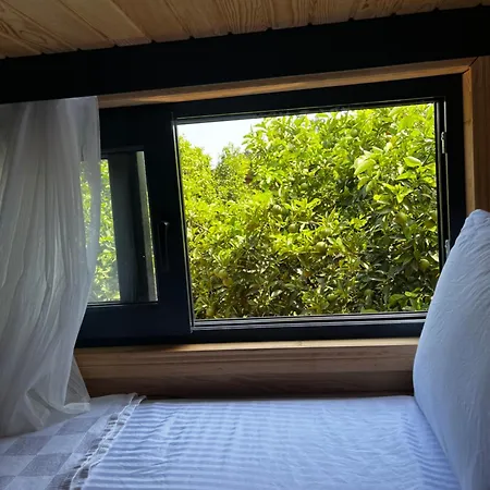 Julya Tiny House