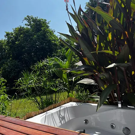 Διαμέρισμα Julya Tiny House Çıralı