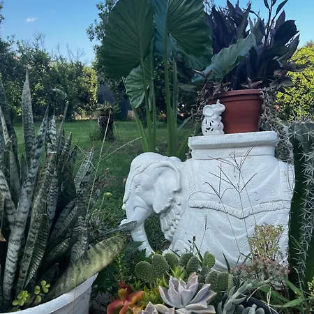 Appartamento Julya Tiny House *