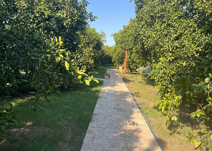 Julya Tiny House * Çıralı