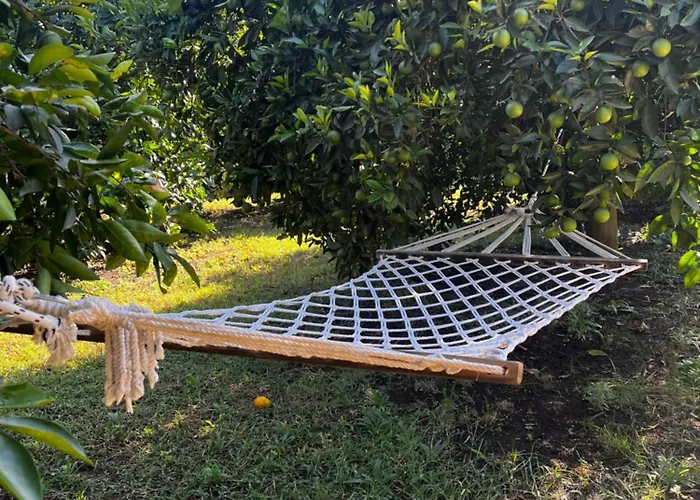 Julya Tiny House Apartman Çıralı