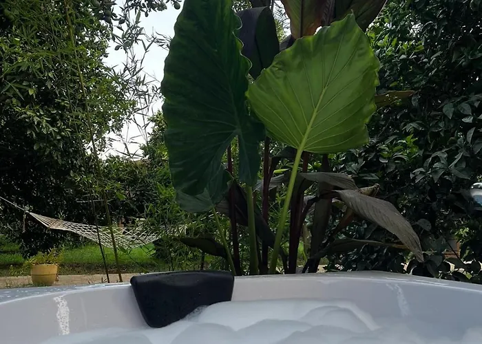 Apartman Julya Tiny House *