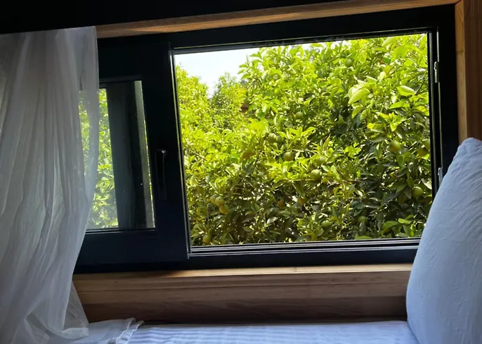 Julya Tiny House