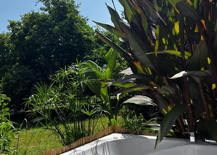 Apartman Julya Tiny House Çıralı