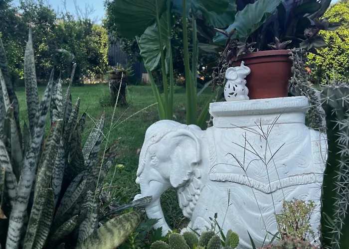 Apartman Julya Tiny House *